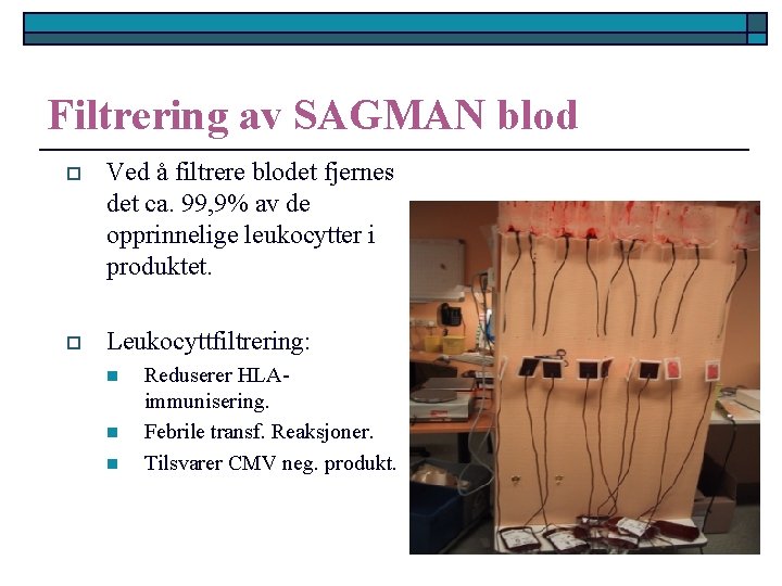 Filtrering av SAGMAN blod o Ved å filtrere blodet fjernes det ca. 99, 9%