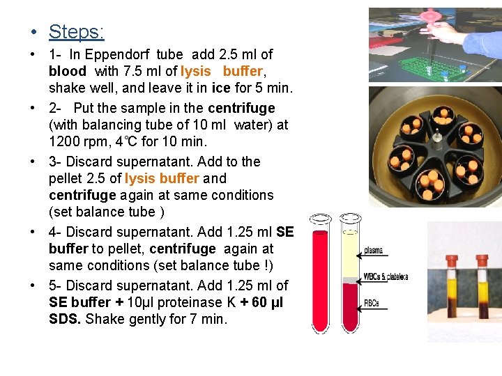  • Steps: • 1 - In Eppendorf tube add 2. 5 ml of
