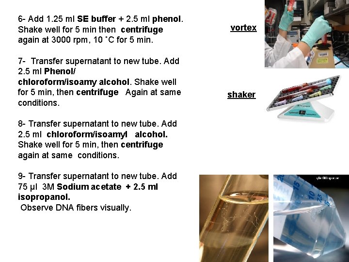 6 - Add 1. 25 ml SE buffer + 2. 5 ml phenol. Shake