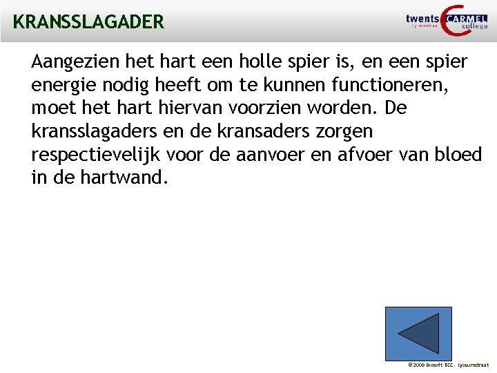 KRANSSLAGADER Aangezien het hart een holle spier is, en een spier energie nodig heeft