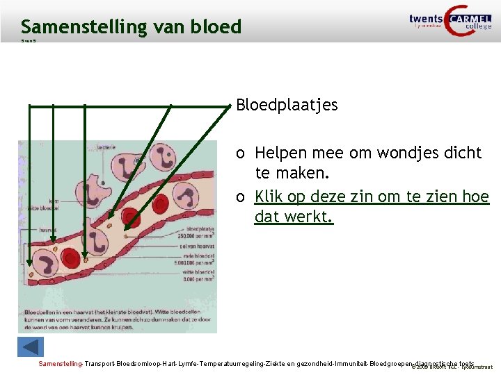Samenstelling van bloed 5 van 5 Bloedplaatjes o Helpen mee om wondjes dicht te