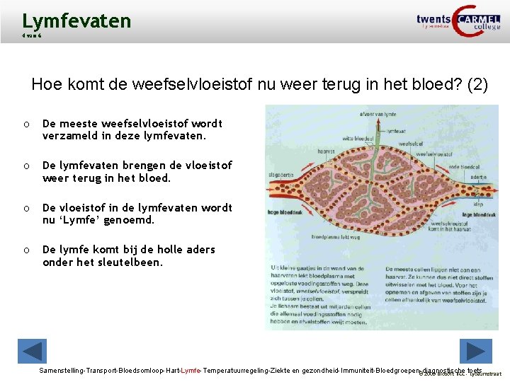 Lymfevaten 4 van 6 Hoe komt de weefselvloeistof nu weer terug in het bloed?