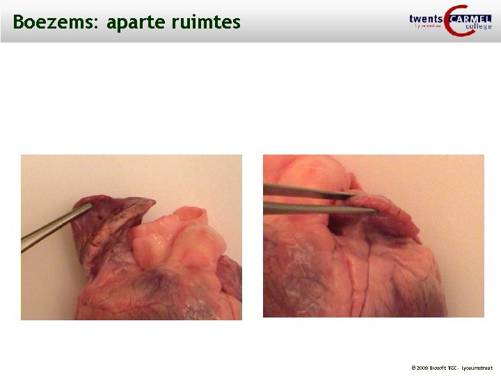Boezems: aparte ruimtes © 2009 Biosoft TCC - Lyceumstraat 