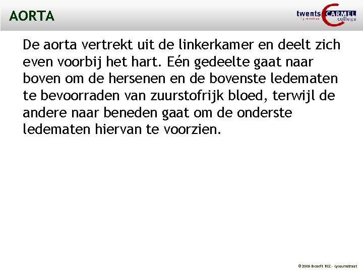 AORTA De aorta vertrekt uit de linkerkamer en deelt zich even voorbij het hart.
