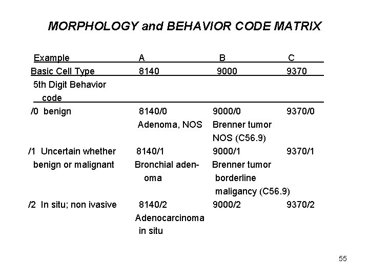 MORPHOLOGY and BEHAVIOR CODE MATRIX Example Basic Cell Type 5 th Digit Behavior code