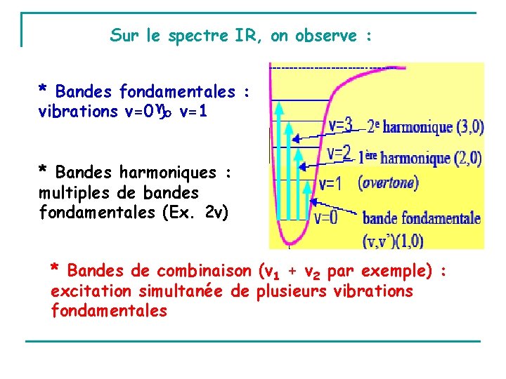 Sur le spectre IR, on observe : * Bandes fondamentales : vibrations v=0 v=1