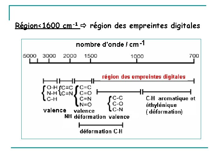 Région<1600 cm-1 région des empreintes digitales 