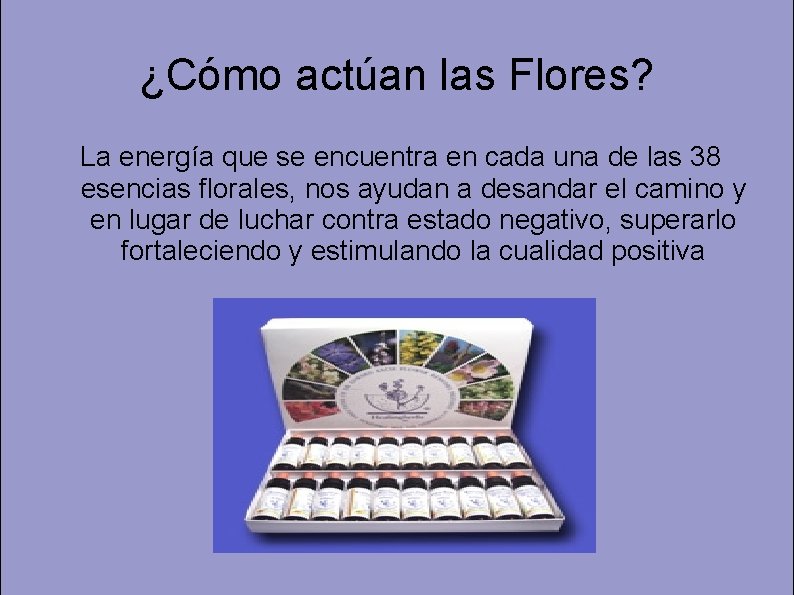 ¿Cómo actúan las Flores? La energía que se encuentra en cada una de las