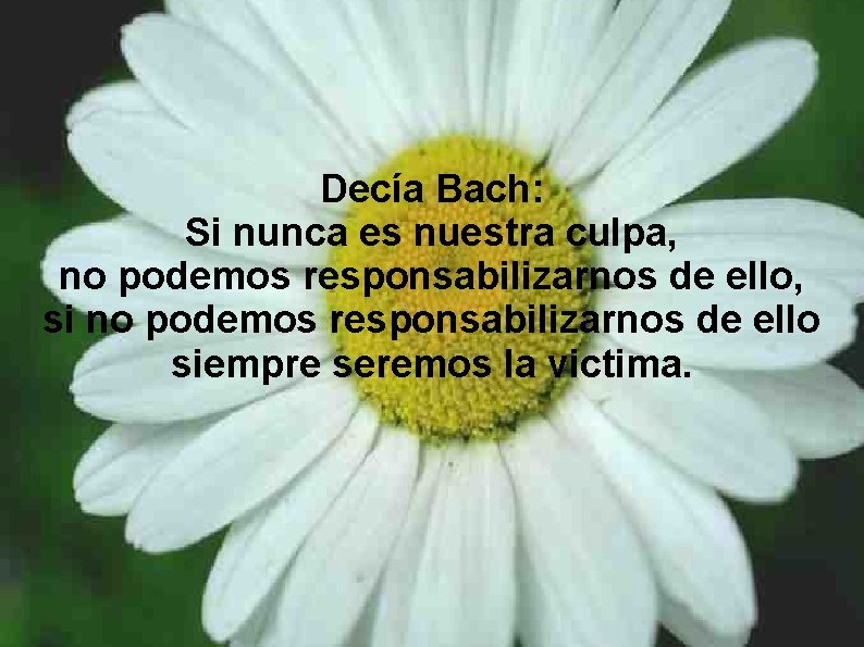 Decía Bach: Si nunca es nuestra culpa, no podemos responsabilizarnos de ello, si no