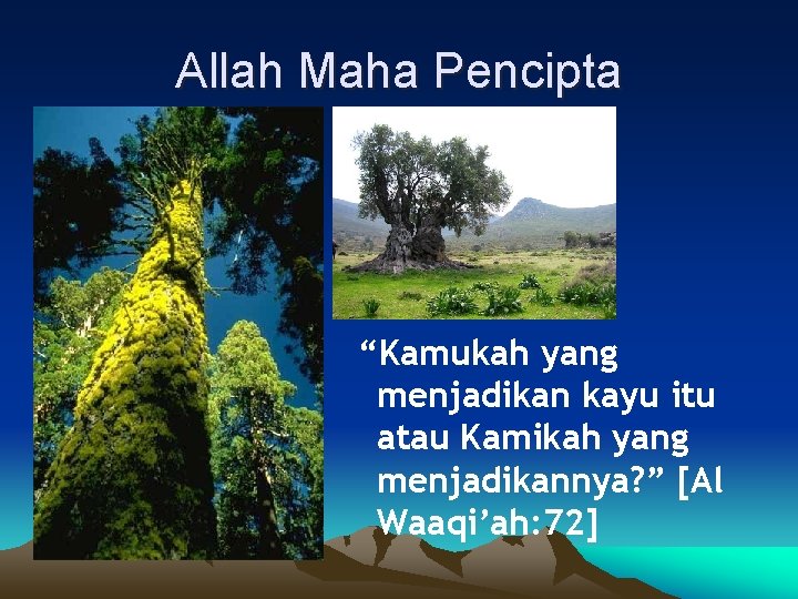 Allah Maha Pencipta “Kamukah yang menjadikan kayu itu atau Kamikah yang menjadikannya? ” [Al