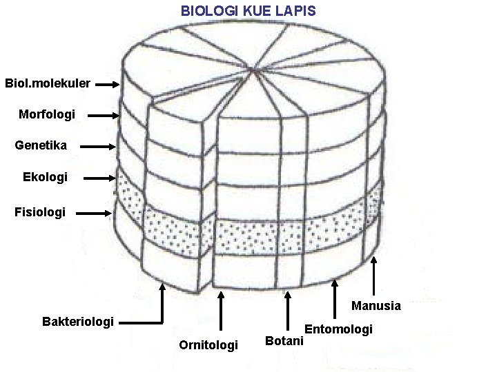 BIOLOGI KUE LAPIS Biol. molekuler Morfologi Genetika Ekologi Fisiologi Manusia Bakteriologi Ornitologi Botani Entomologi