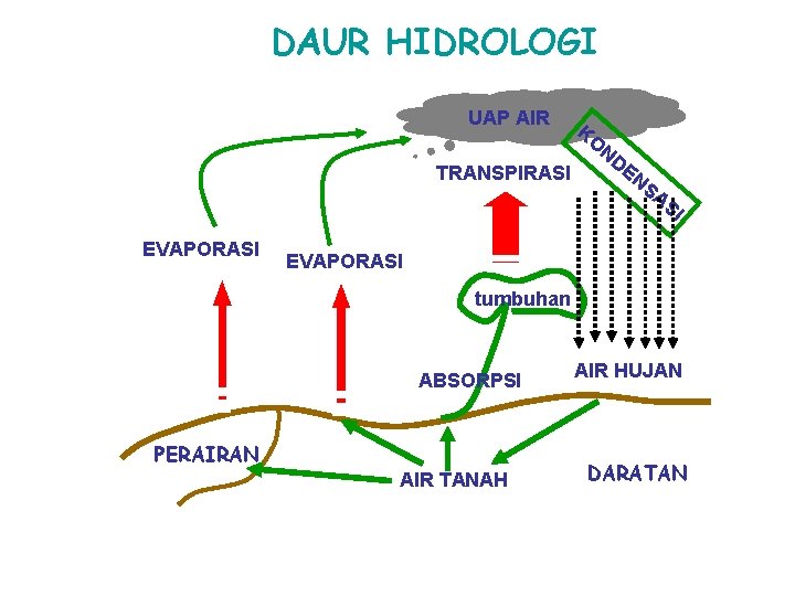 DAUR HIDROLOGI UAP AIR KO ND EN TRANSPIRASI SA SI EVAPORASI tumbuhan ABSORPSI PERAIRAN