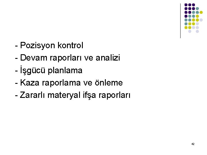 - Pozisyon kontrol - Devam raporları ve analizi - İşgücü planlama - Kaza raporlama