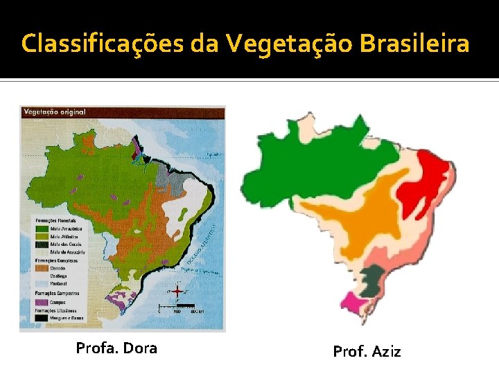 Classificações da Vegetação Brasileira Profa. Dora Prof. Aziz 