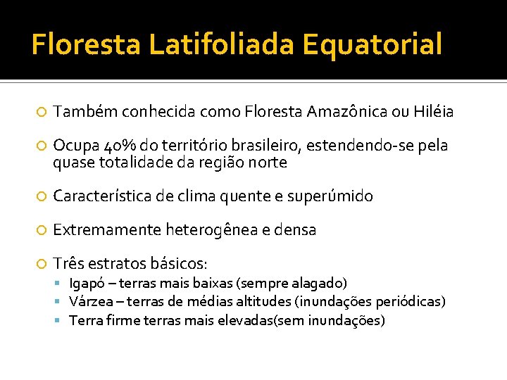 Floresta Latifoliada Equatorial Também conhecida como Floresta Amazônica ou Hiléia Ocupa 40% do território