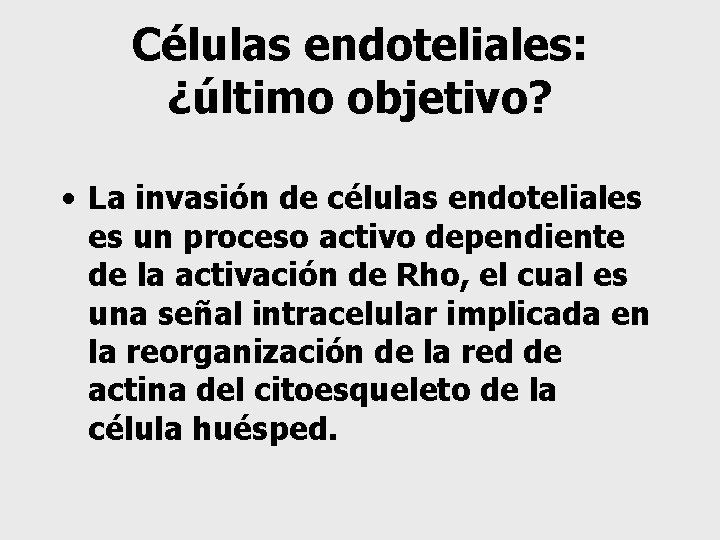 Células endoteliales: ¿último objetivo? • La invasión de células endoteliales es un proceso activo