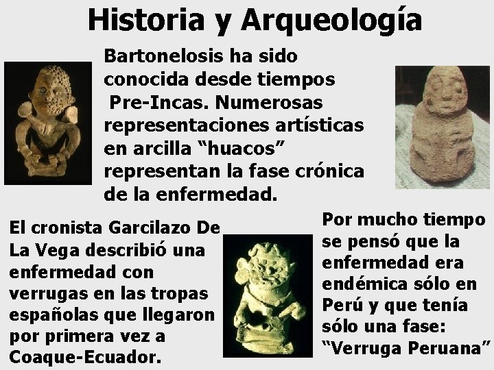 Historia y Arqueología Bartonelosis ha sido conocida desde tiempos Pre-Incas. Numerosas representaciones artísticas en