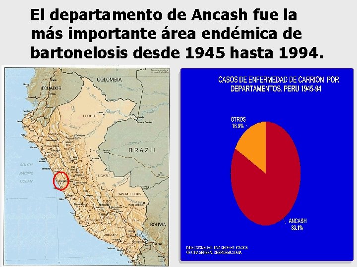 El departamento de Ancash fue la más importante área endémica de bartonelosis desde 1945