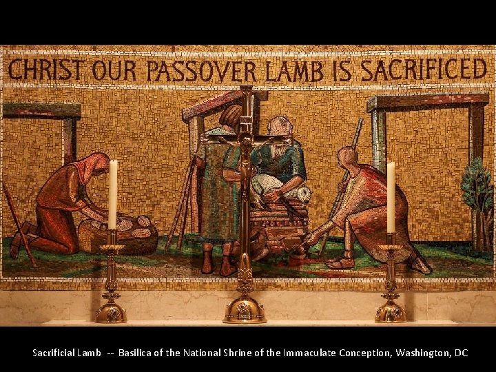 Sacrificial Lamb -- Basilica of the National Shrine of the Immaculate Conception, Washington, DC