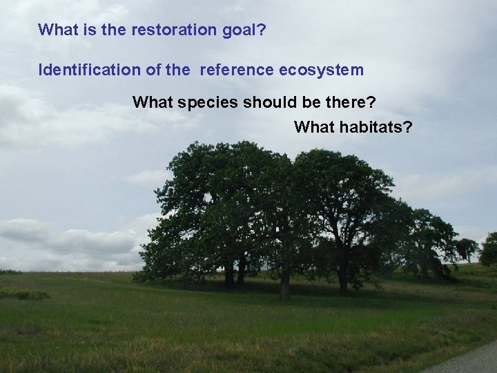 What is the restoration goal? Identification of the reference ecosystem What species should be