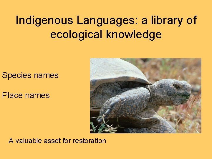 Indigenous Languages: a library of ecological knowledge Species names Place names A valuable asset