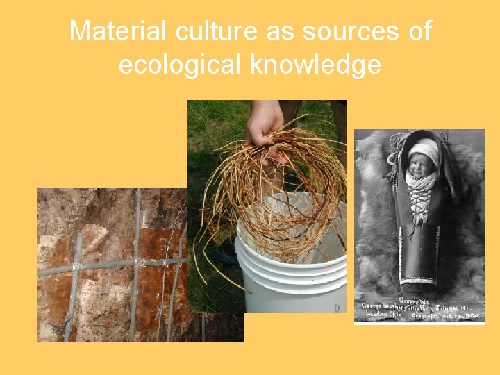 Material culture as sources of ecological knowledge 