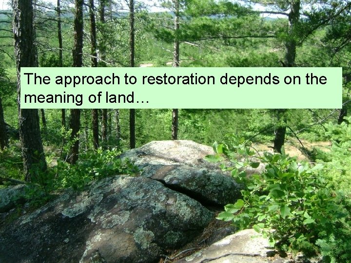 The approach to restoration depends on the meaning of land… 