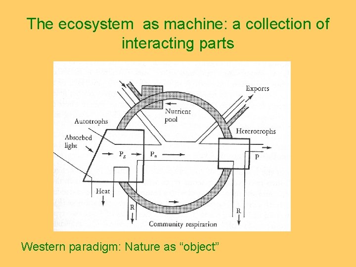 The ecosystem as machine: a collection of interacting parts Western paradigm: Nature as “object”