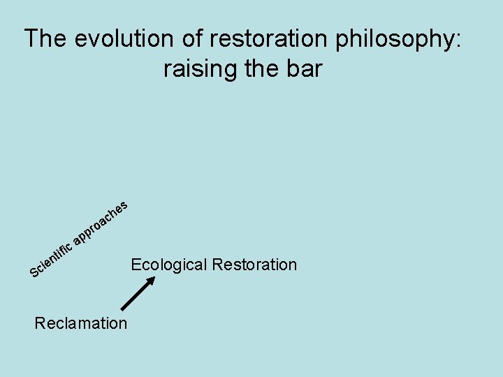 The evolution of restoration philosophy: raising the bar s he c oa pr p