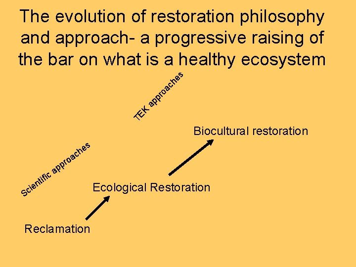 TE K ap pr oa ch es The evolution of restoration philosophy and approach-