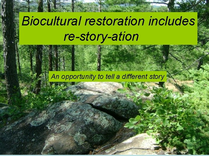 Biocultural restoration includes re-story-ation An opportunity to tell a different story 