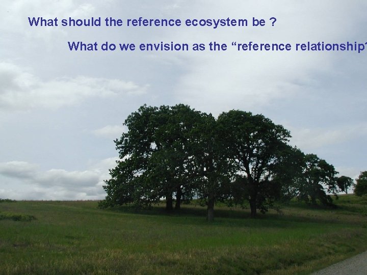 What should the reference ecosystem be ? What do we envision as the “reference