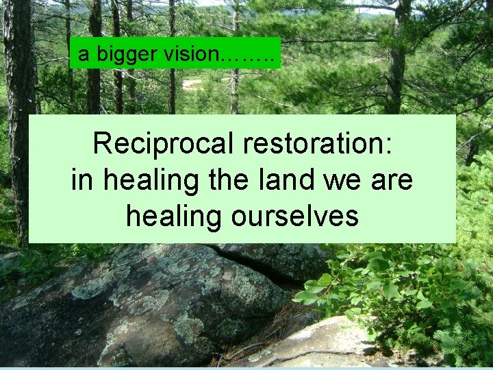  a bigger vision……. . Reciprocal restoration: in healing the land we are healing