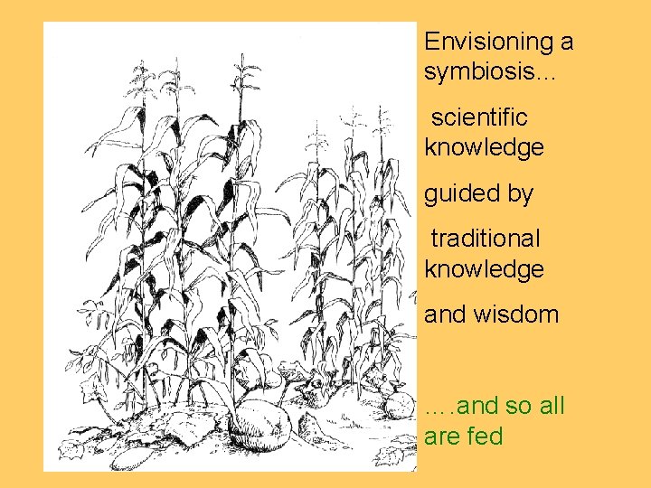 Envisioning a symbiosis… scientific knowledge guided by traditional knowledge and wisdom …. and so