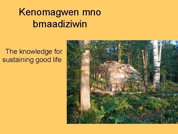 Kenomagwen mno bmaadiziwin The knowledge for sustaining good life 