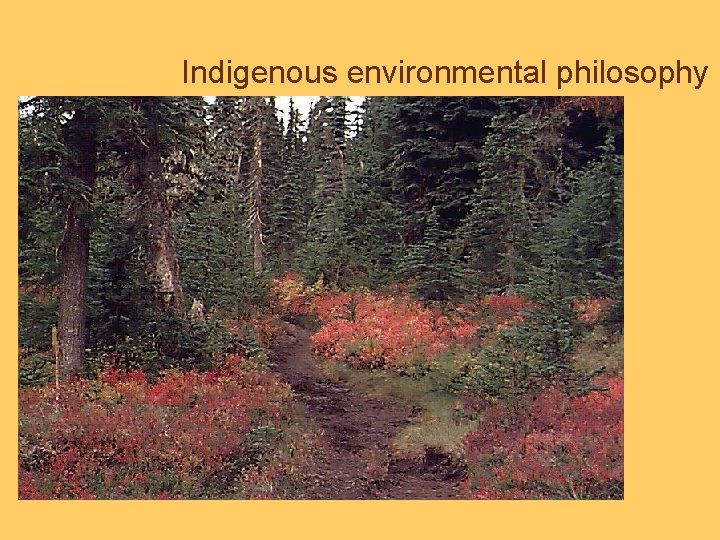 Indigenous environmental philosophy 