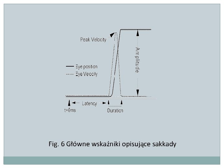 Fig. 6 Główne wskaźniki opisujące sakkady 