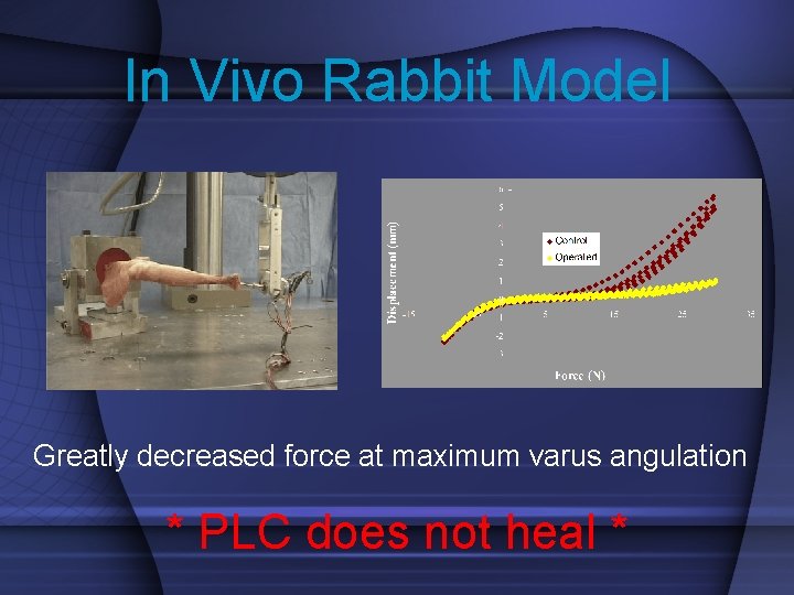 In Vivo Rabbit Model Greatly decreased force at maximum varus angulation * PLC does