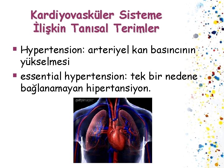 Kardiyovasküler Sisteme İlişkin Tanısal Terimler § Hypertension: arteriyel kan basıncının yükselmesi § essential hypertension: