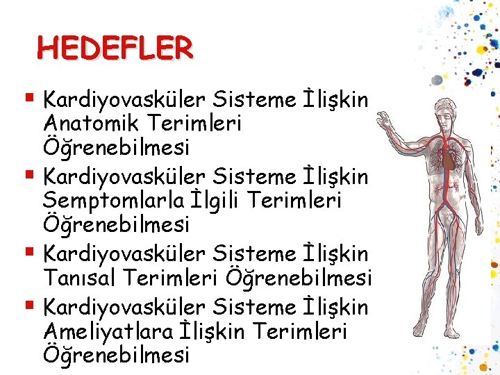 HEDEFLER § Kardiyovasküler Sisteme İlişkin Anatomik Terimleri Öğrenebilmesi § Kardiyovasküler Sisteme İlişkin Semptomlarla İlgili