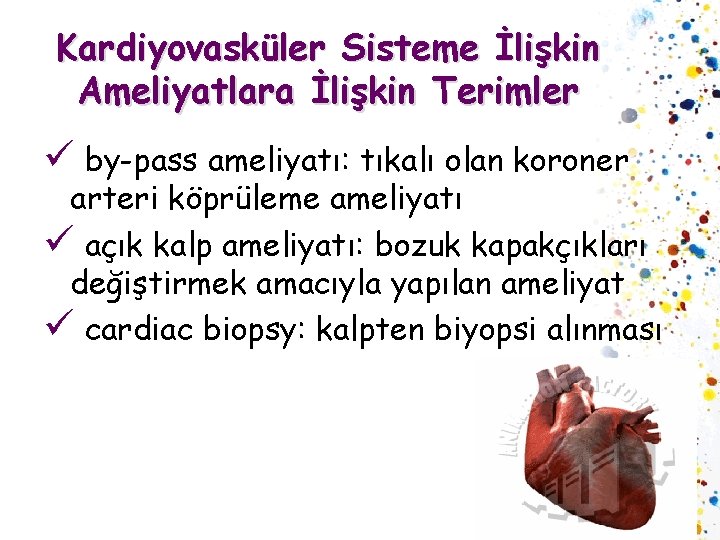 Kardiyovasküler Sisteme İlişkin Ameliyatlara İlişkin Terimler ü by-pass ameliyatı: tıkalı olan koroner arteri köprüleme