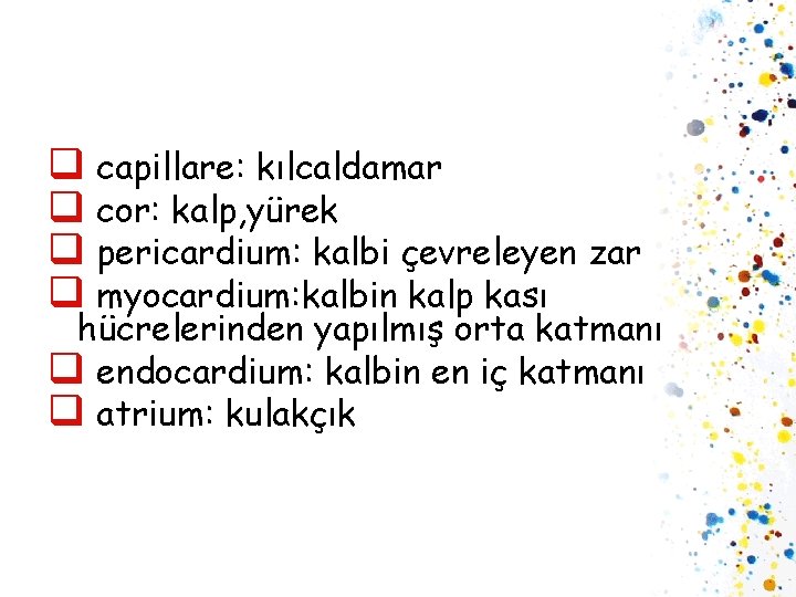 q capillare: kılcaldamar q cor: kalp, yürek q pericardium: kalbi çevreleyen zar q myocardium: