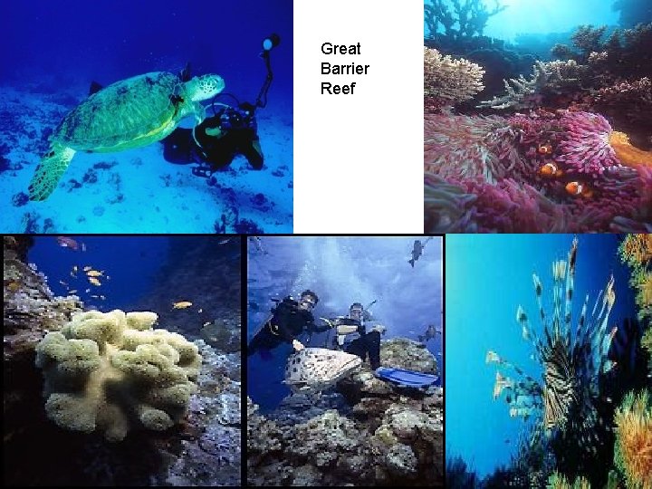 Great Barrier Reef 