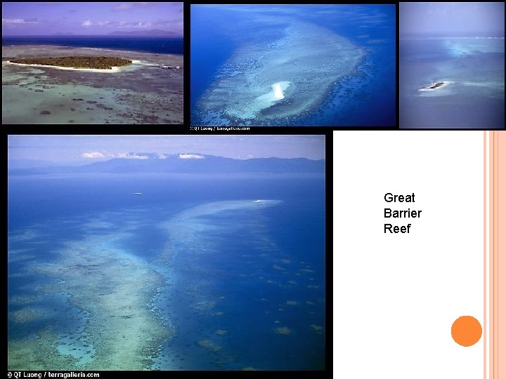 Great Barrier Reef 