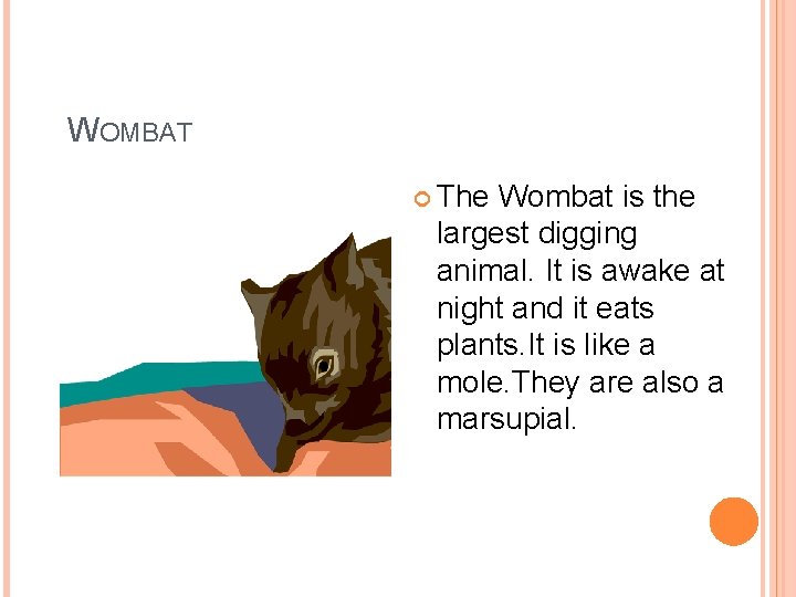 WOMBAT The Wombat is the largest digging animal. It is awake at night and