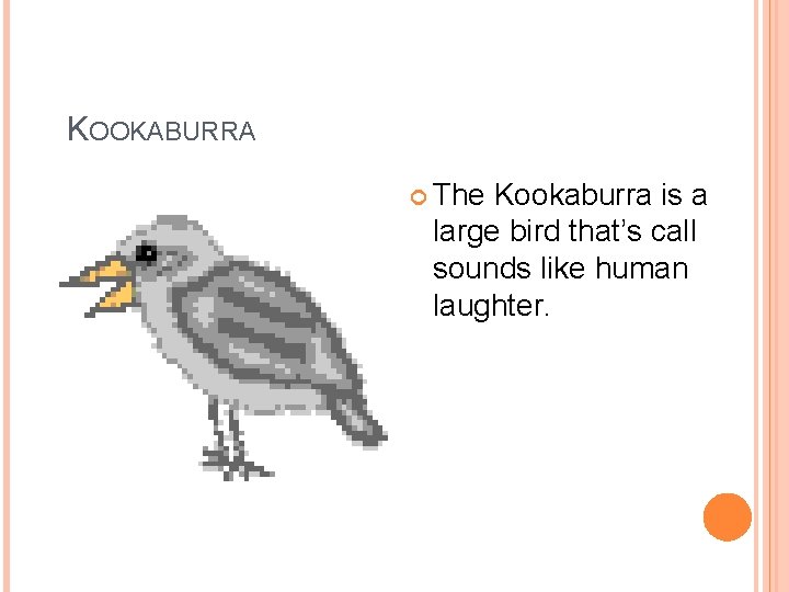 KOOKABURRA The Kookaburra is a large bird that’s call sounds like human laughter. 