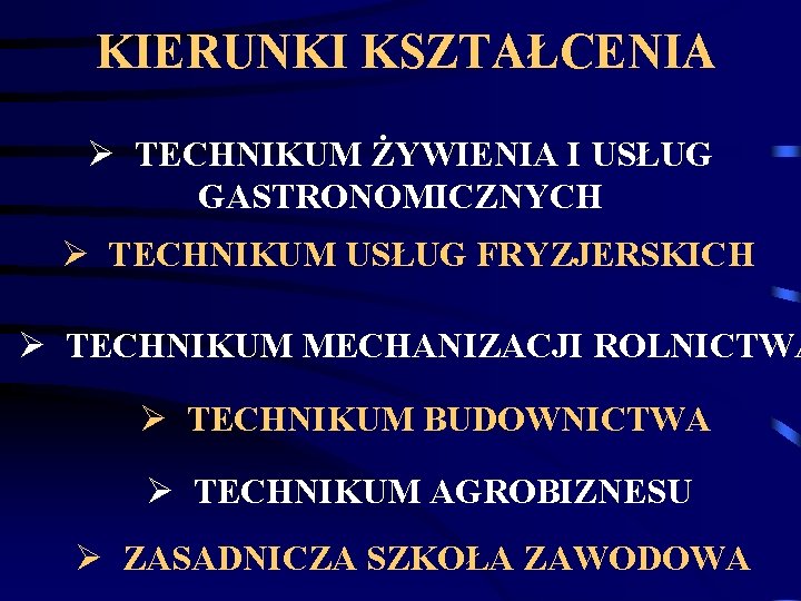 KIERUNKI KSZTAŁCENIA Ø TECHNIKUM ŻYWIENIA I USŁUG GASTRONOMICZNYCH Ø TECHNIKUM USŁUG FRYZJERSKICH Ø TECHNIKUM