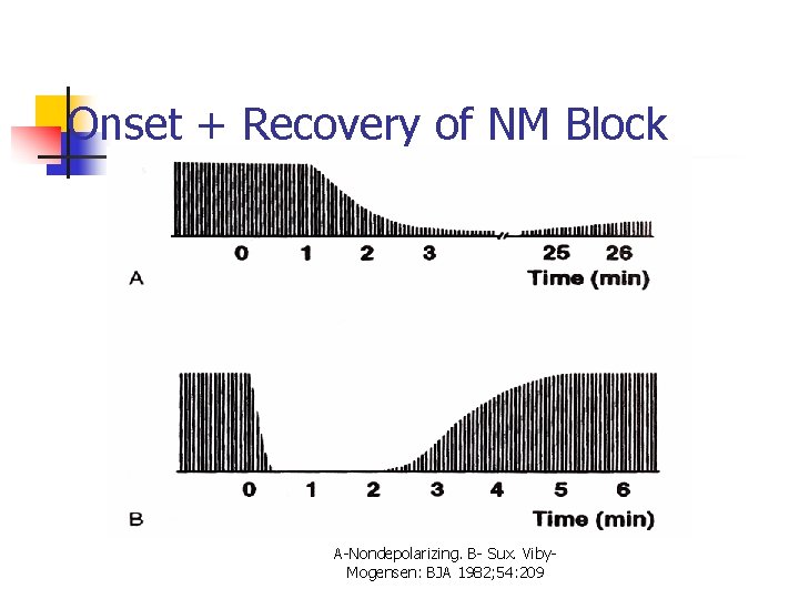 Onset + Recovery of NM Block A-Nondepolarizing. B- Sux. Viby. Mogensen: BJA 1982; 54: