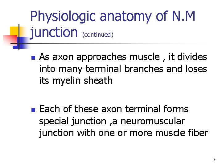 Physiologic anatomy of N. M junction (continued) n n As axon approaches muscle ,