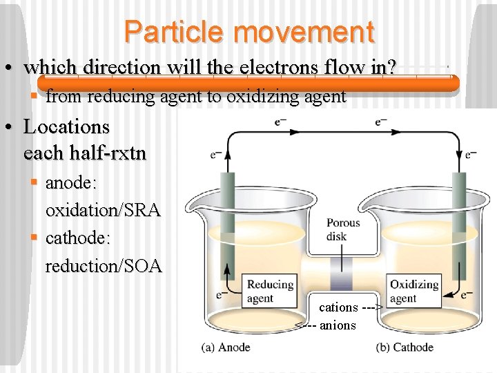 Particle movement • which direction will the electrons flow in? § from reducing agent